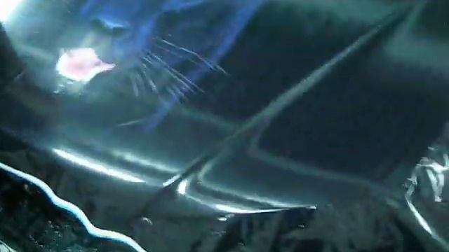 Винилография на авто, аэрография пленкой - Zavinilim.ru смотреть онлайн