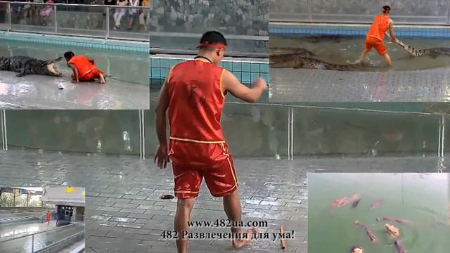 Крокодиловая ферма находится в г.Паттайя смотреть онлайн