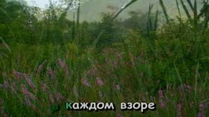 12.Ариэль-В краю магнолий