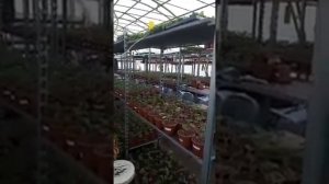 Котел 50 КВт отапливают теплицу. Котлы от 10-300 кВт со СКИДКОЙ Звони тел 89379320505
