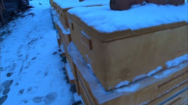 Обзор шестирамочника БИНЕНХАУС смотреть онлайн