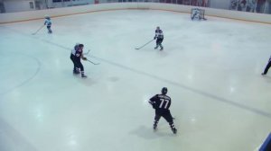 Снегири герои