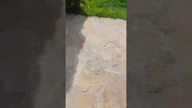 Маргарита в день Пасхи смотреть онлайн