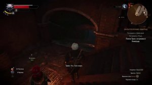 Ведьмаг 3. Прохождение "Помочь Трисс с ее делами!" №2