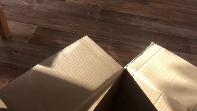 Распаковка, обзор, первый взгляд бензопилы Ставр ПЦБ-45/220М смотреть онлайн