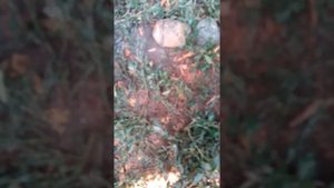 Замена механического бензонасоса гольф 2. Ч1