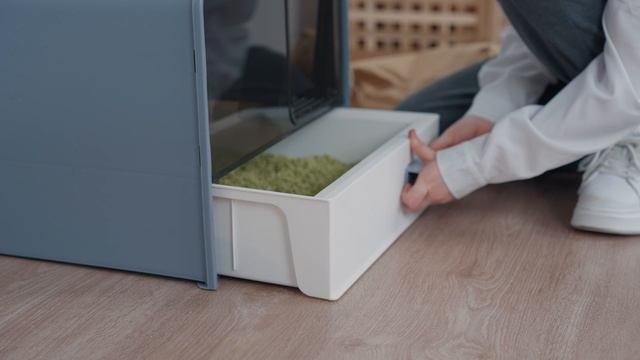 Комкующийся наполнитель Тофу для лотка Зелёный чай, Woolen
