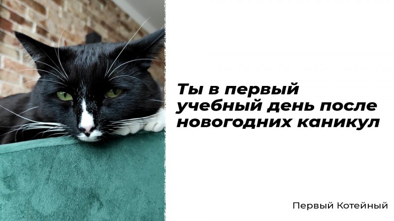 Ты в первый учебный день после новогодних каникул