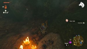 Where To Farm Bomb Flowers | Zelda Tears of The Kingdom