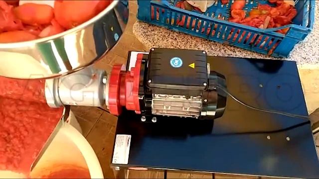 Funktionsvideo - Tisch-Tomatenpresse Reber 9011 NX von 0,53 PS смотреть онлайн