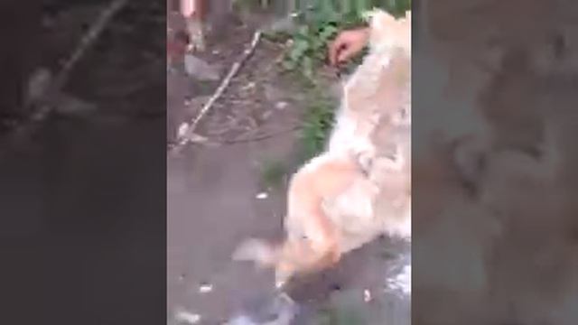 пьяный славик смотреть онлайн