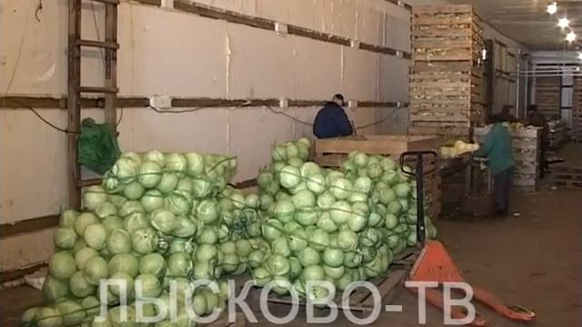 2016 03 30 ООО Росток