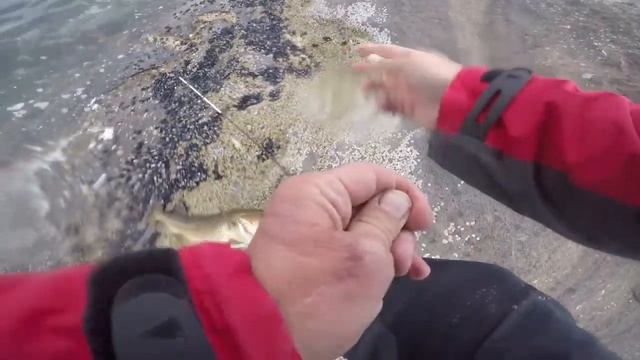 Northern Norway shore fishing trip 2019 highlights смотреть онлайн