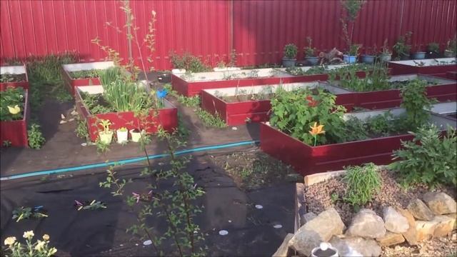 Создаём цветник, альпийскую горку своими руками.