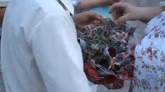 Valentina1dvd смотреть онлайн