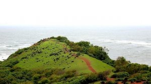 Потрясающий отдых на ГОА