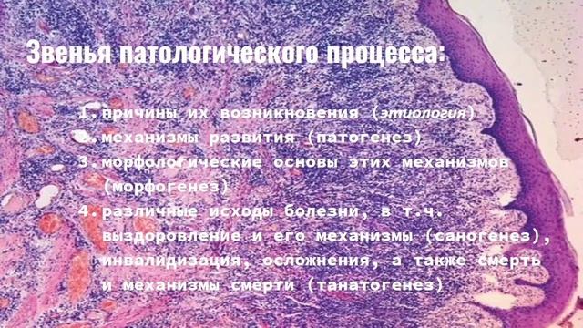 Патанатомия! Введение в патологическую анатомию⚕️