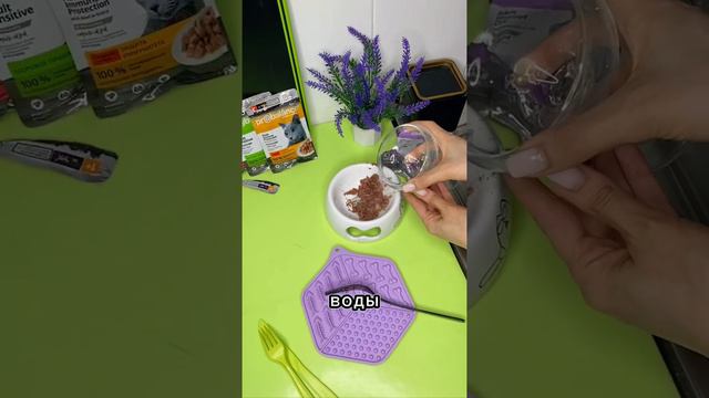 Как вернуть аппетит питомца быстро #probalanceкорм смотреть онлайн