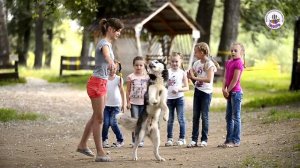 Клип Это знает всякий