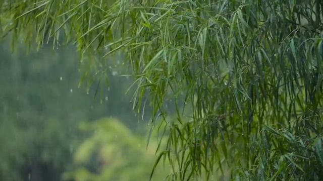 ШУМ ДОЖДЯ В ТРОПИЧЕСКОМ ЛЕСУ!!! ГЛУБОКИЙ СОН ЗА 5 МИНУТ смотреть онлайн