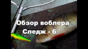 Обзор воблера Evergreen System Jerk Bait Sledge-6
