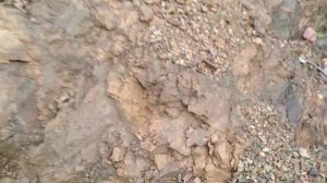 Глина  рыжая  окаменевшая