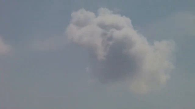 Чудо природы, мишка машет лапой смотреть онлайн