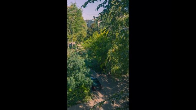 12 часовой Time Lapse смотреть онлайн