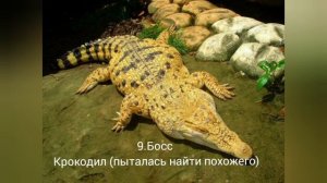 БОССЫ WILDCRAFT vs Реальные животные