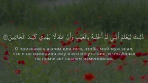 Сура 12 «Йусуф» - Мухаммад Тарик