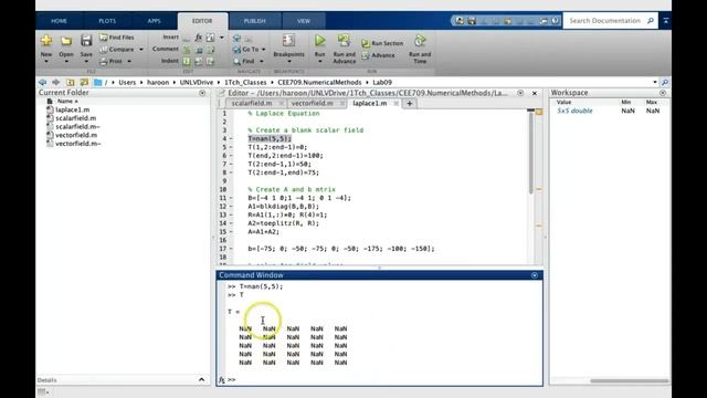 Lab09_3: Laplace Equation 1 смотреть онлайн