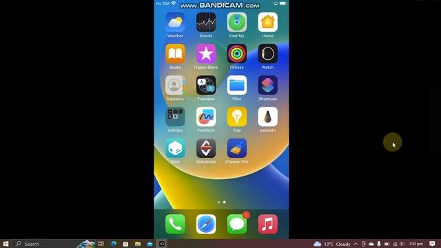 How To Install ICleaner Pro On IOS 16/15 | Palera1n Jailbreak | Easy Guide | 2023