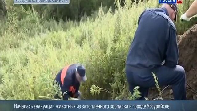 Приморье. Уссурийский зоопарк, помощь МЧС.