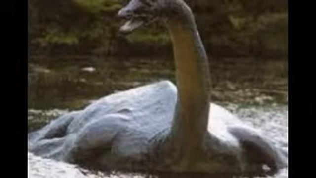 ТОП-5 Подводных монстров,которые возможно существуют в наше время смотреть онлайн