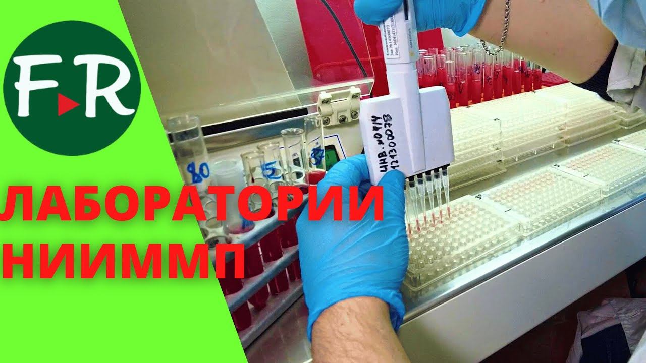 Зачем нужна наука для фермера? Чем НИИММП может помочь аграрным предприятиям. А это бесплатно?