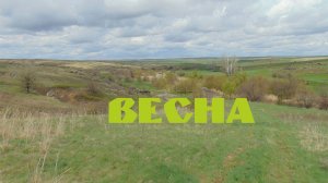 Весна, природа просыпается