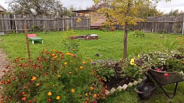 Купили заброшенную дачу#Закрываем дачный сезон#2021# смотреть онлайн