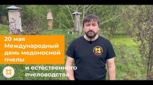 20 мая — День медоносной пчелы и естественного пчеловодства