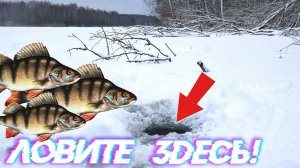 В таким местах в глухозимье полно окуня! Как ловить окуня в глухозимье? Окунь в феврале марте