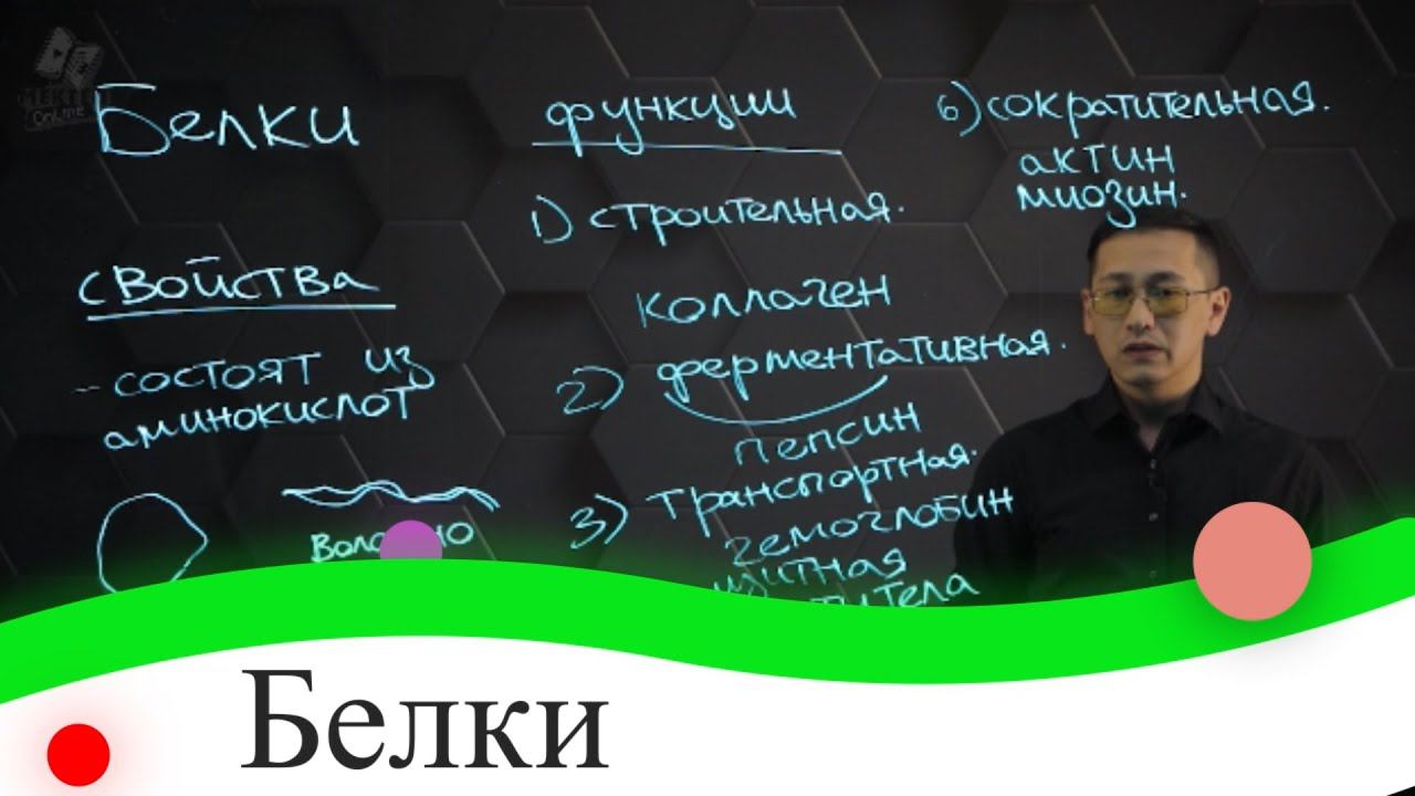 Белки. Их свойства и функции. 8 класс.