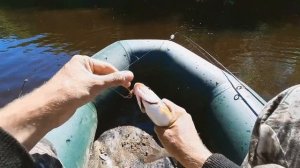 В поисках хариуса на тундровой реке. Ловля на бомбарду с мухами.