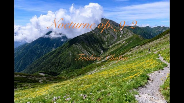 Nocturne op.9-2/Frederic Chopin смотреть онлайн