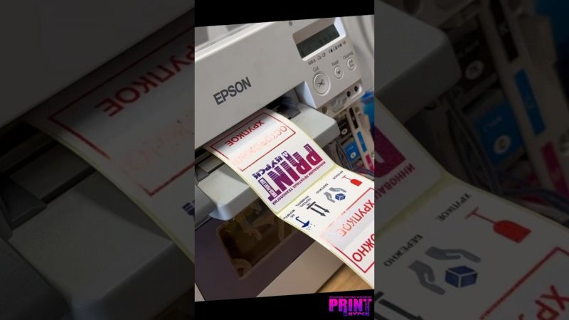 Этикеточный принтер Epson Epson C3520 #shortsyoutube #epson #shortsvideo #этикетки