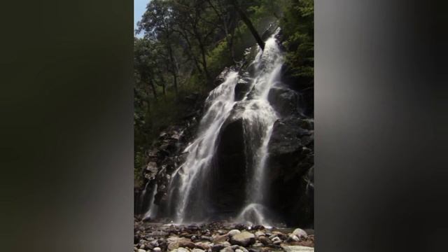 ЕСЛИ ДУША НЕ ПИТАЕТСЯ ДУХОВНОЙ ПИЩЕЙ, ТО НАСТУПАЕТ ТЯЖЕЛОЕ ХРОНИЧЕСКОЕ ГОЛОДАНИЕ смотреть онлайн