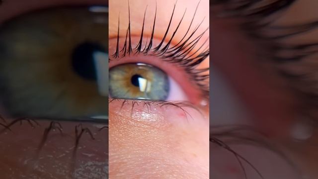 #пермь #красота #пермькрасивая #бровист #брови #ламинированиересниц #ламиресницпермь #пермьцентр смотреть онлайн