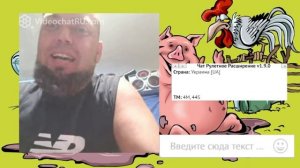 Хохлоскот нужно загонять в стойло 3