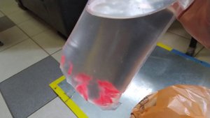Новая поставка аквариумных рыбок в зоомагазин. Обзор/распаковка. #betta  #аквариум