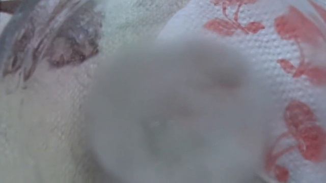 Как сода очищает серебро. А другие способы есть? смотреть онлайн