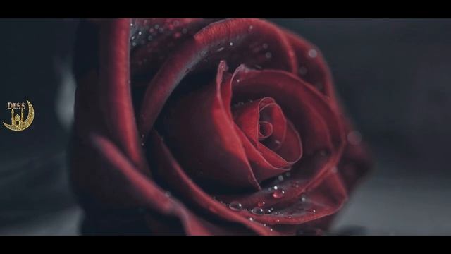 После смерти Матери жизнь теряет все краски смотреть онлайн