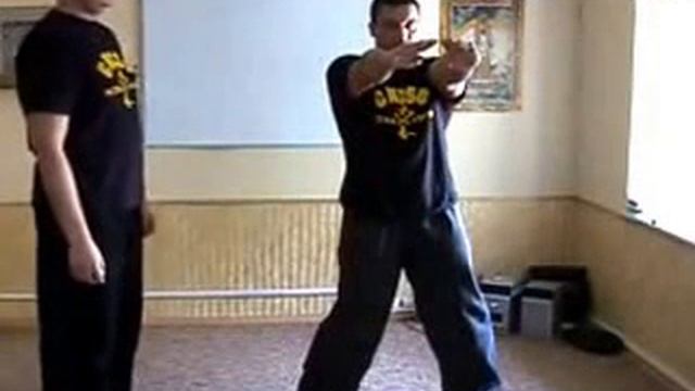 Applikacii vtoroi chasti Siu Lim Tao смотреть онлайн